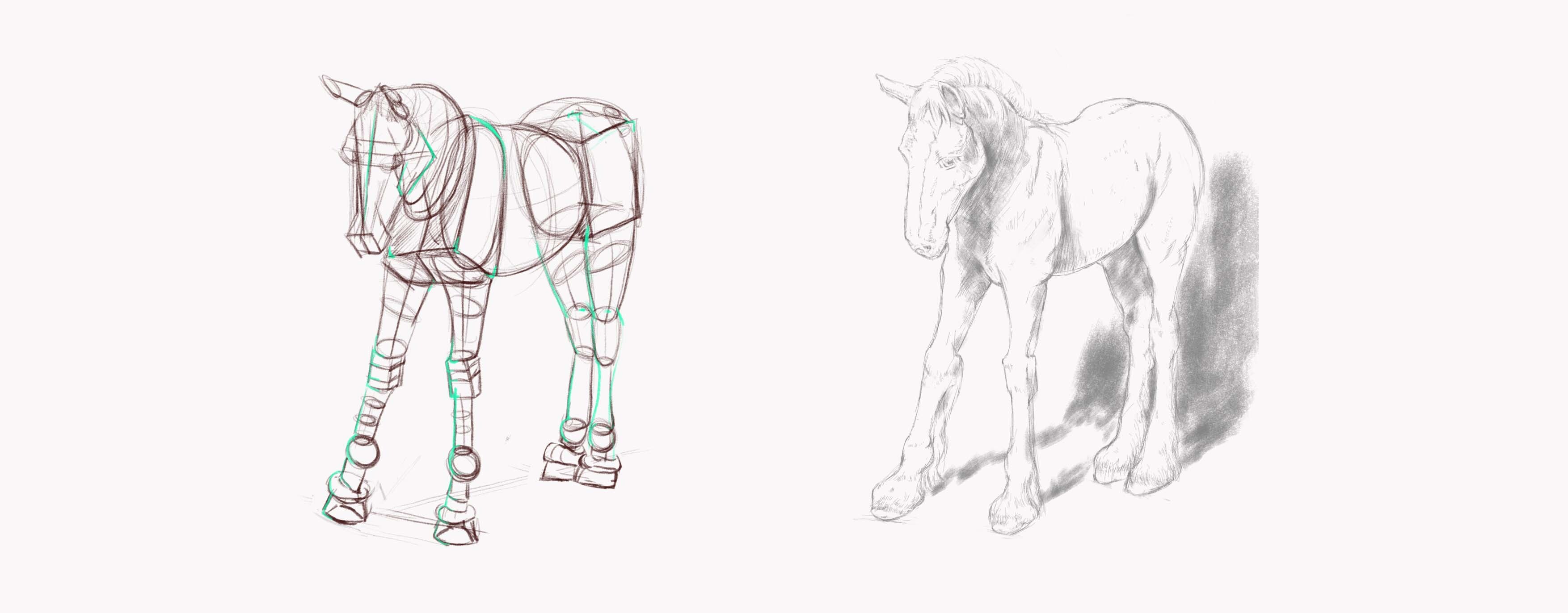 Horses