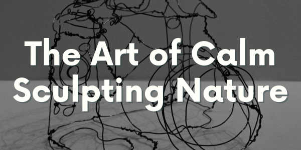 The Art of Calm Sculpting Nature