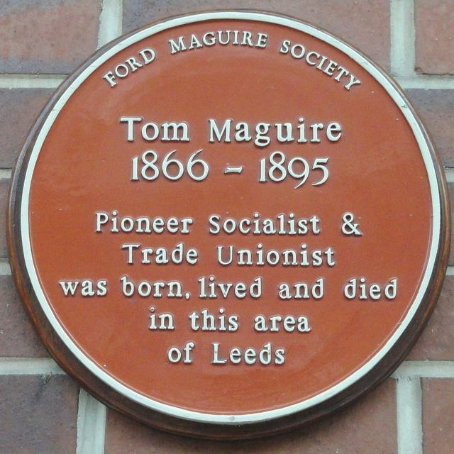 Tom Maguire